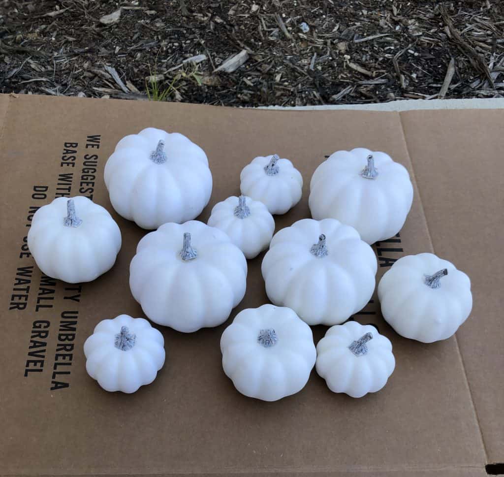 Plain pumpkins ready for paint