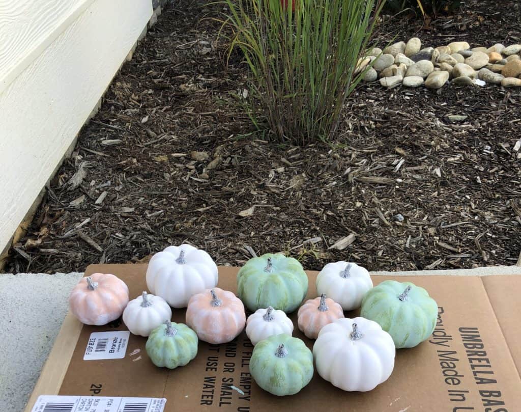 Finished painted pumpkins 