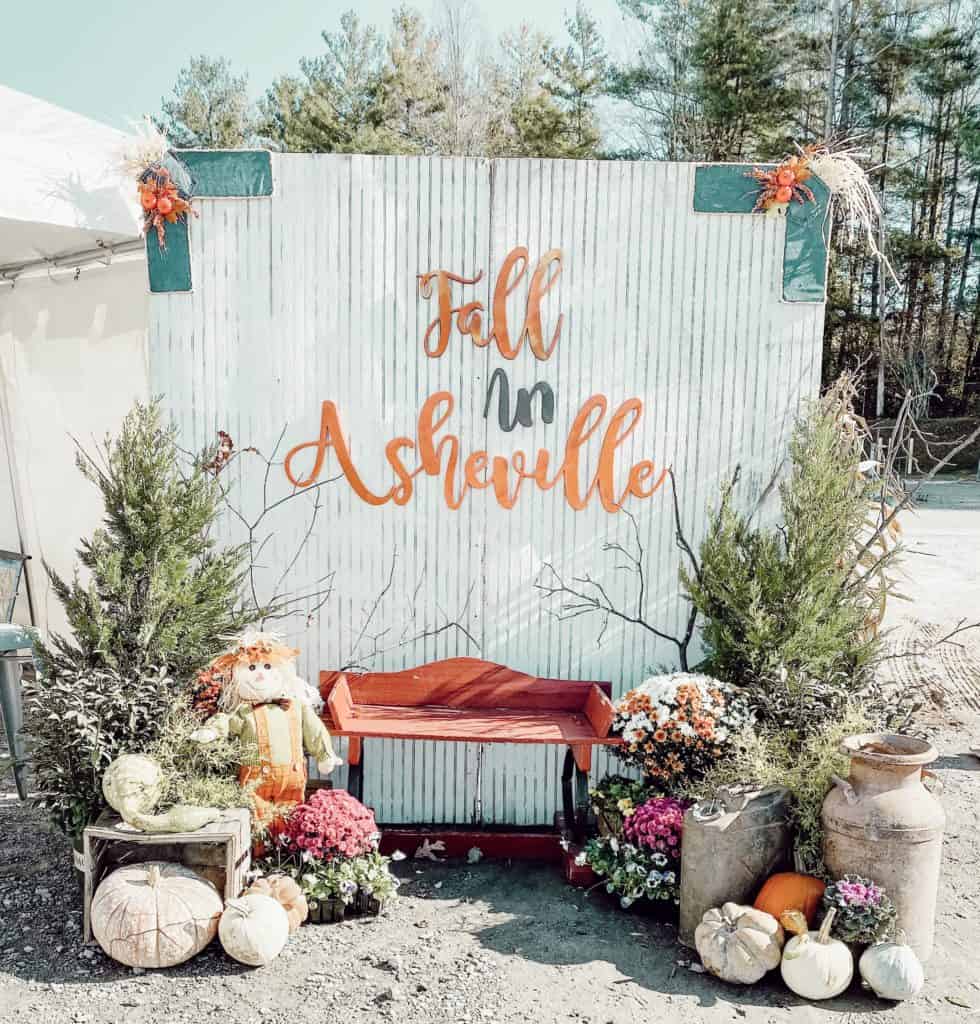 Fall in Asheville at Vintage Market Days 