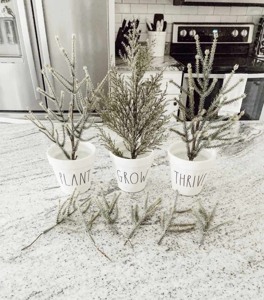 Christmas Fir Stems in Rae Dunn Planter