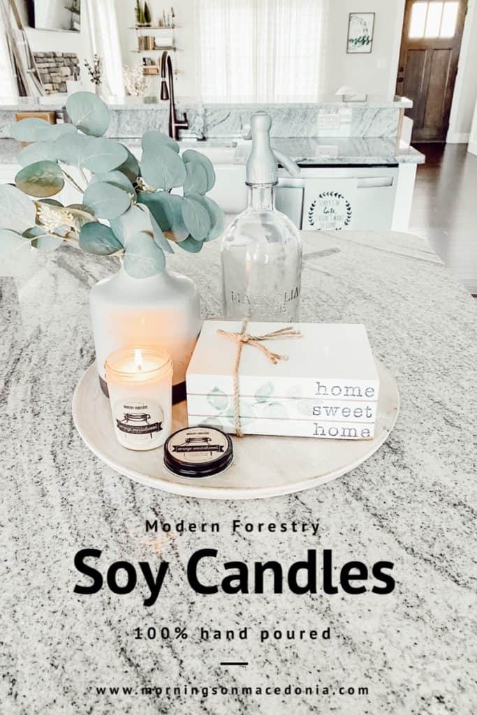 Modern Forestry 100% soy hand poured candles