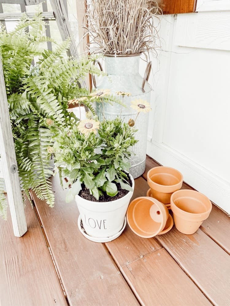 DIY Painted Terra Cotta Pots