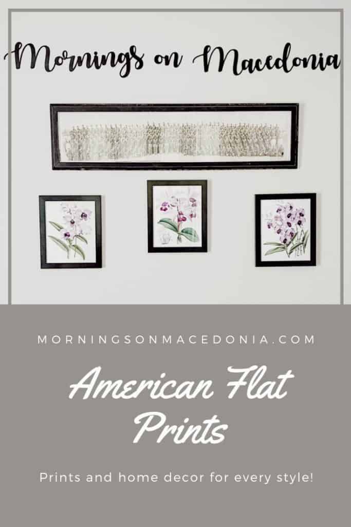 American Flat Prints