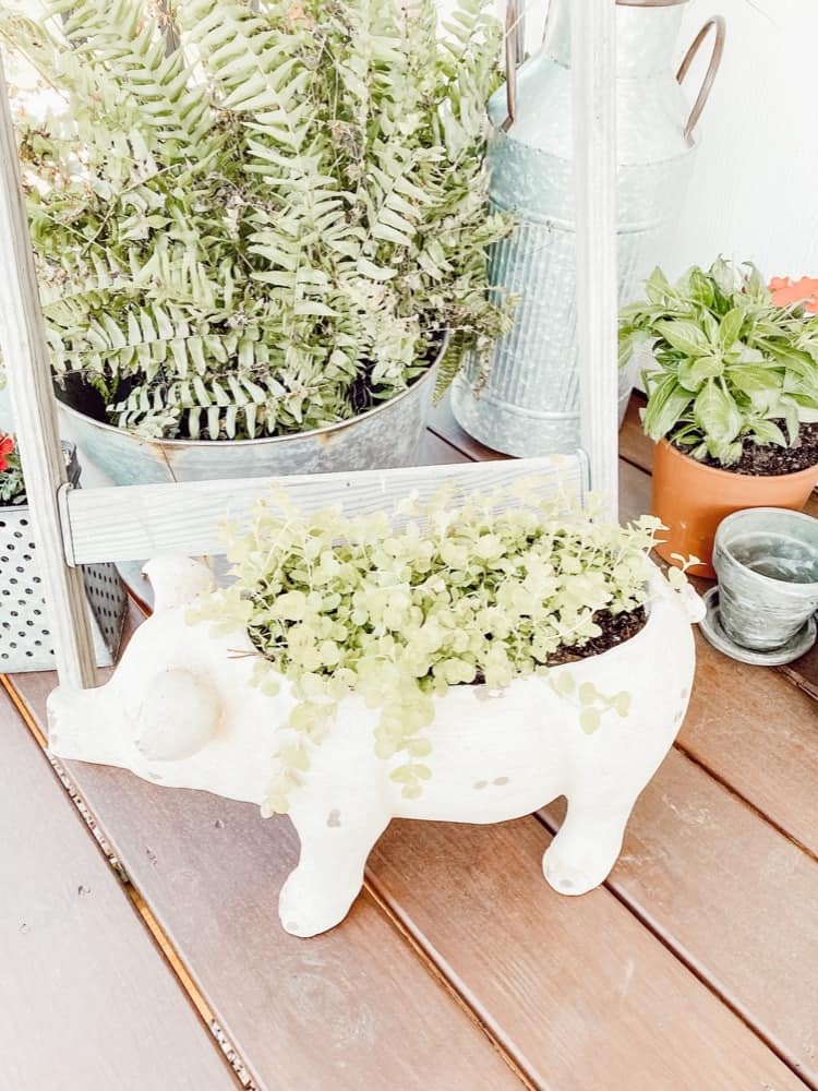 Planter Pig on Spring Front Porch