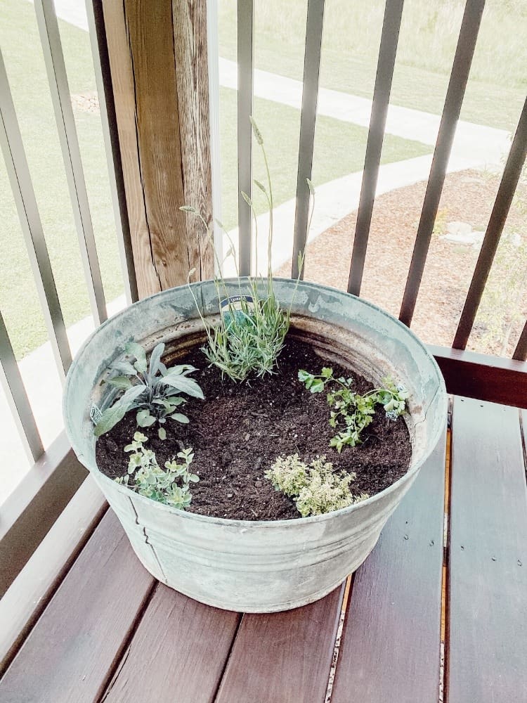 DIY Herb Garden on the Porch