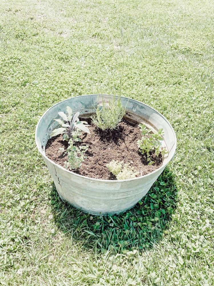 DIY Herb Garden