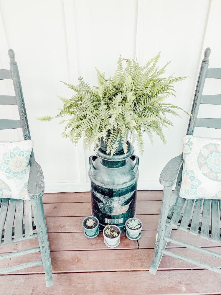 Succulents from Succulent Box on Front Porch