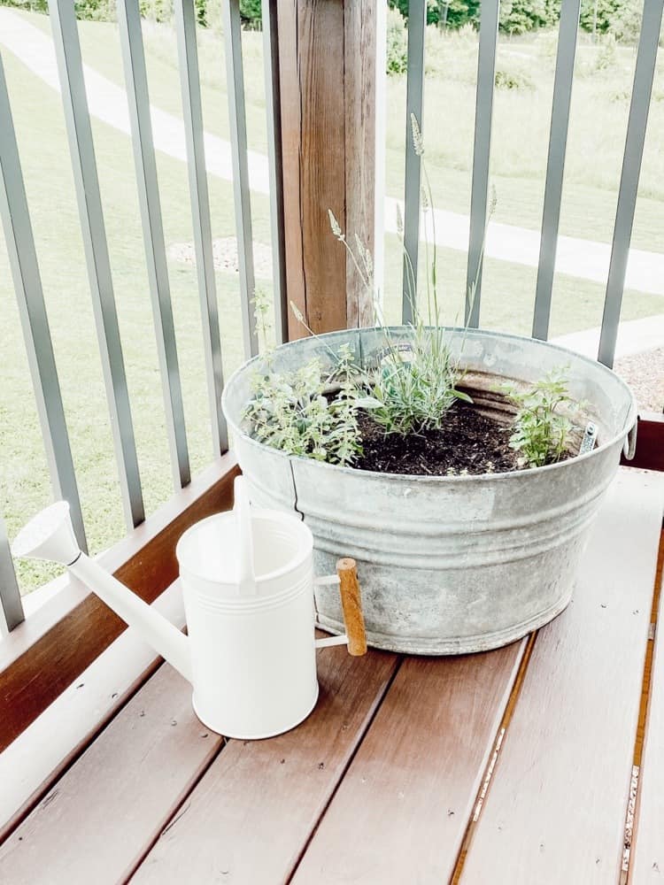 Herb Garden and Watering Can 