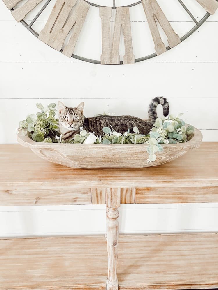 Cat on Entryway Table
