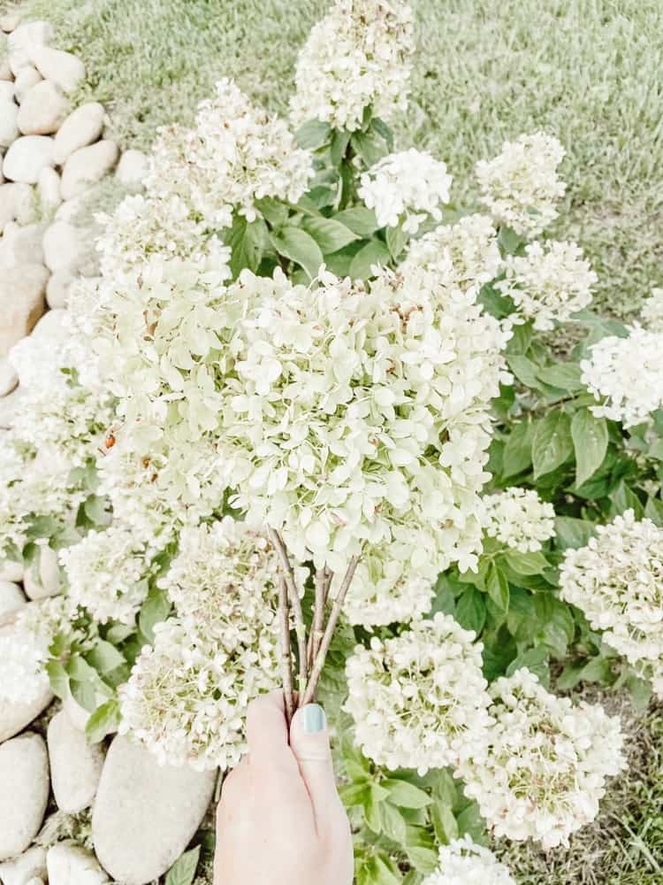 Hydrangea Bouquet 