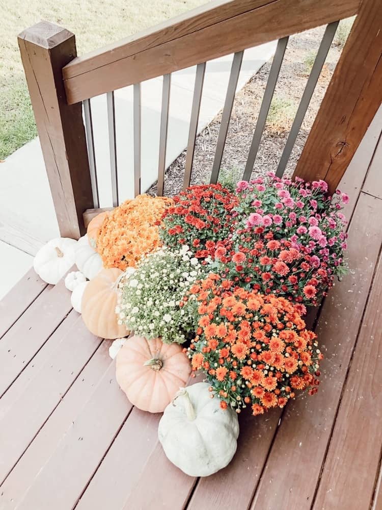 Mums and Pumpkins on Front Porch Steps