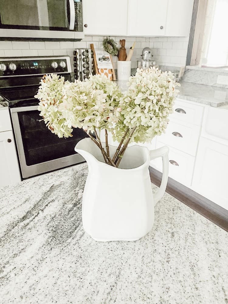 Dried Hydrangeas 