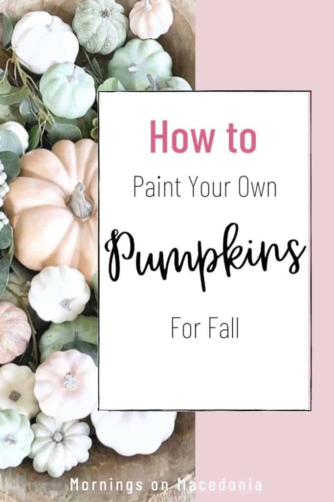 DIY Painted Pumpkins - Mornings on Macedonia