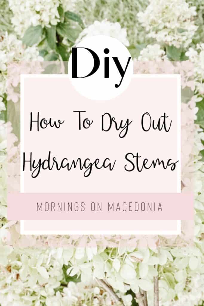 How To Dry Out Hydrangea Stems