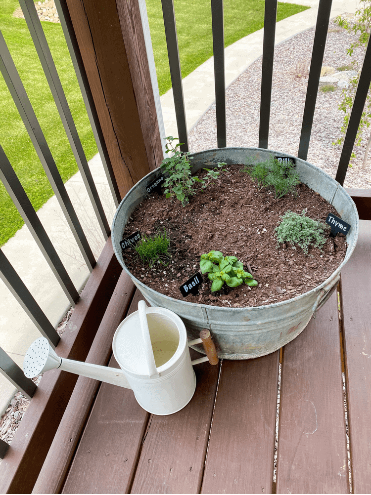 Herb Garden with Plant Labels