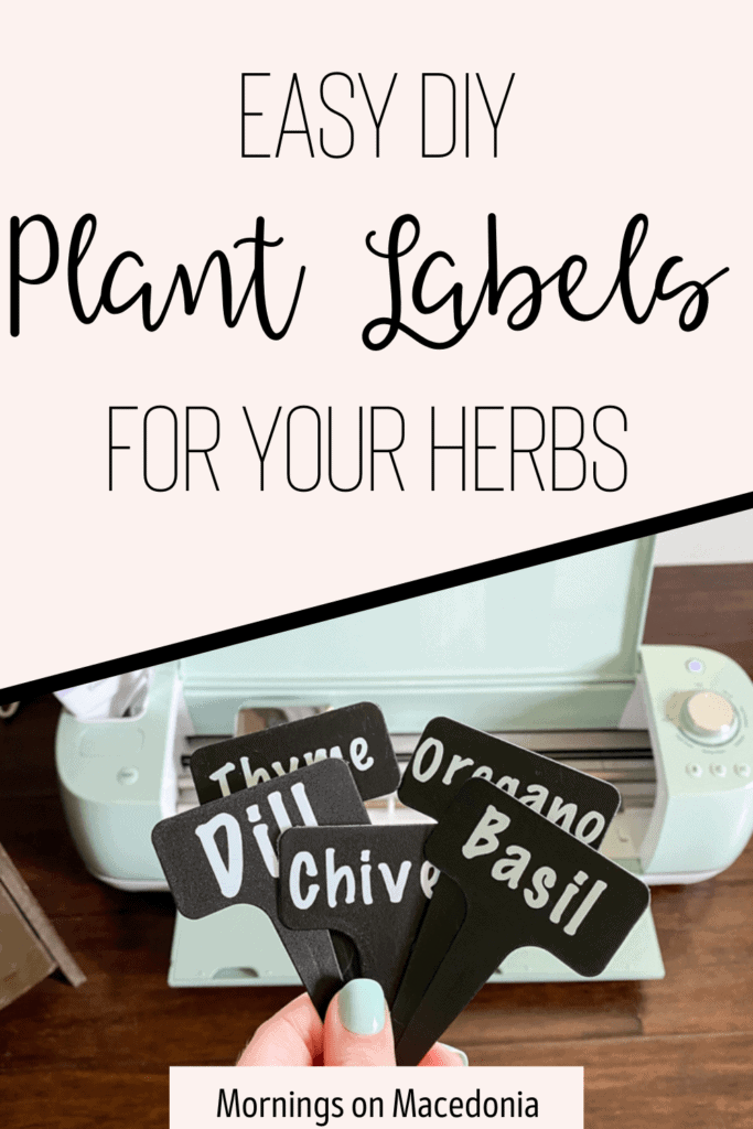 Easy DIY Plant Labels