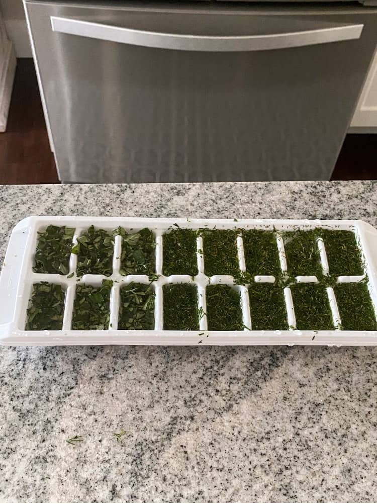 Chopped up herbs with water in ice tray