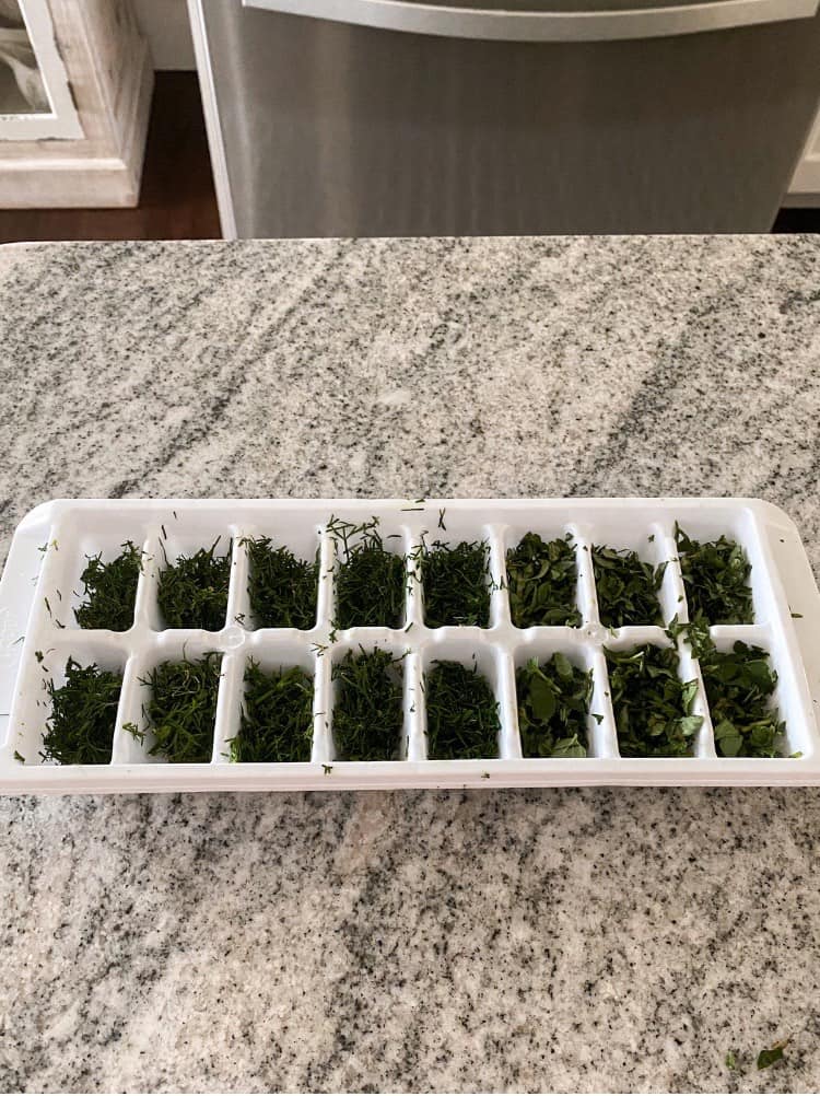 Chopped up herbs in ice tray