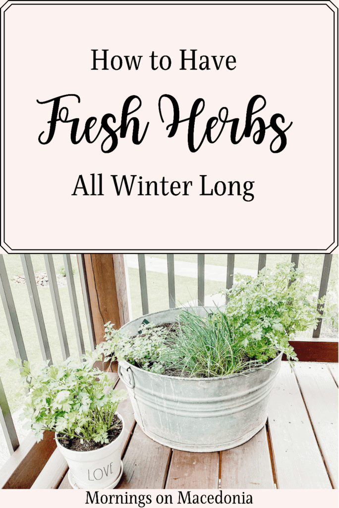 How to Have Fresh Herbs All Winter Long
