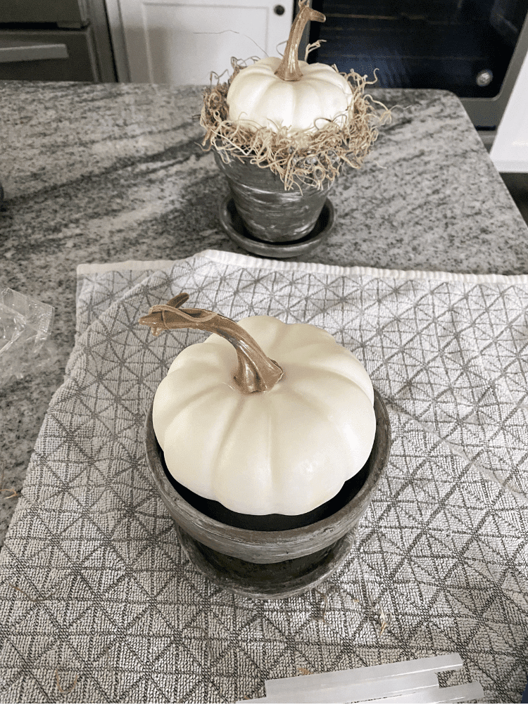Sticking Pumpkin into Pot