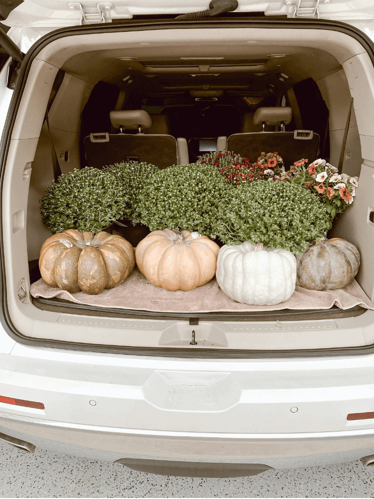 Mums and pumpkins in the car