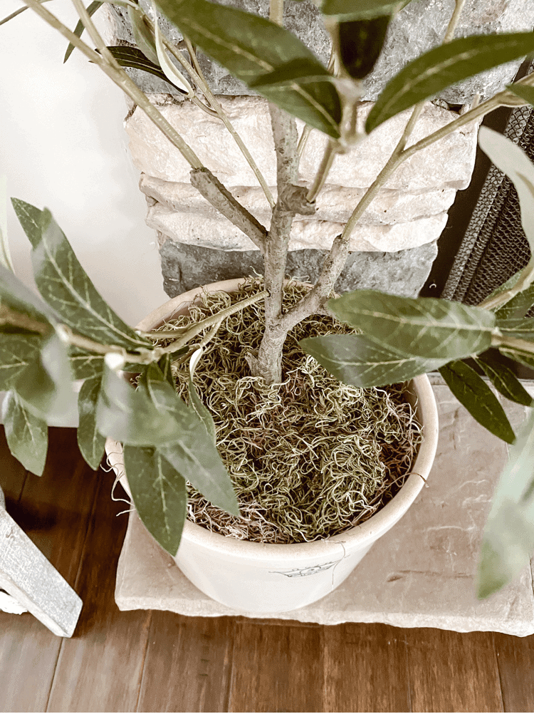 Artificial Potted Olive Tree Plant - 48