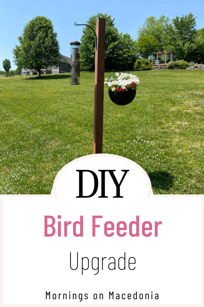 DIY Bird Feeder Upgrade
