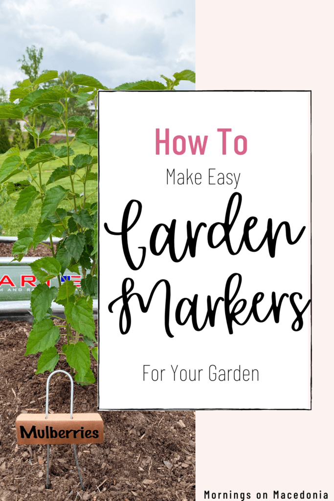 How to Make Easy Garden Markers for Your Garden
