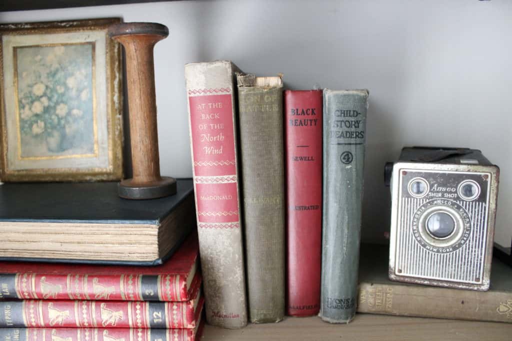 Close Up of Living Room Shelves