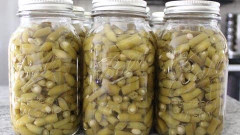 Canned Green Beans