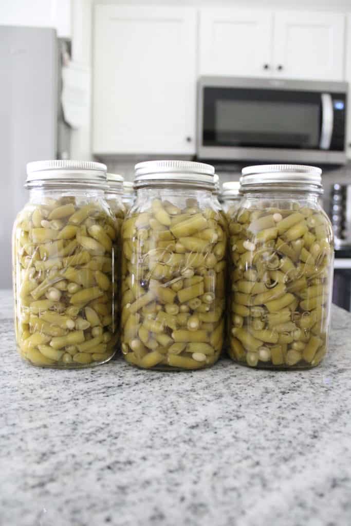 Canned Green Beans in Kitchen