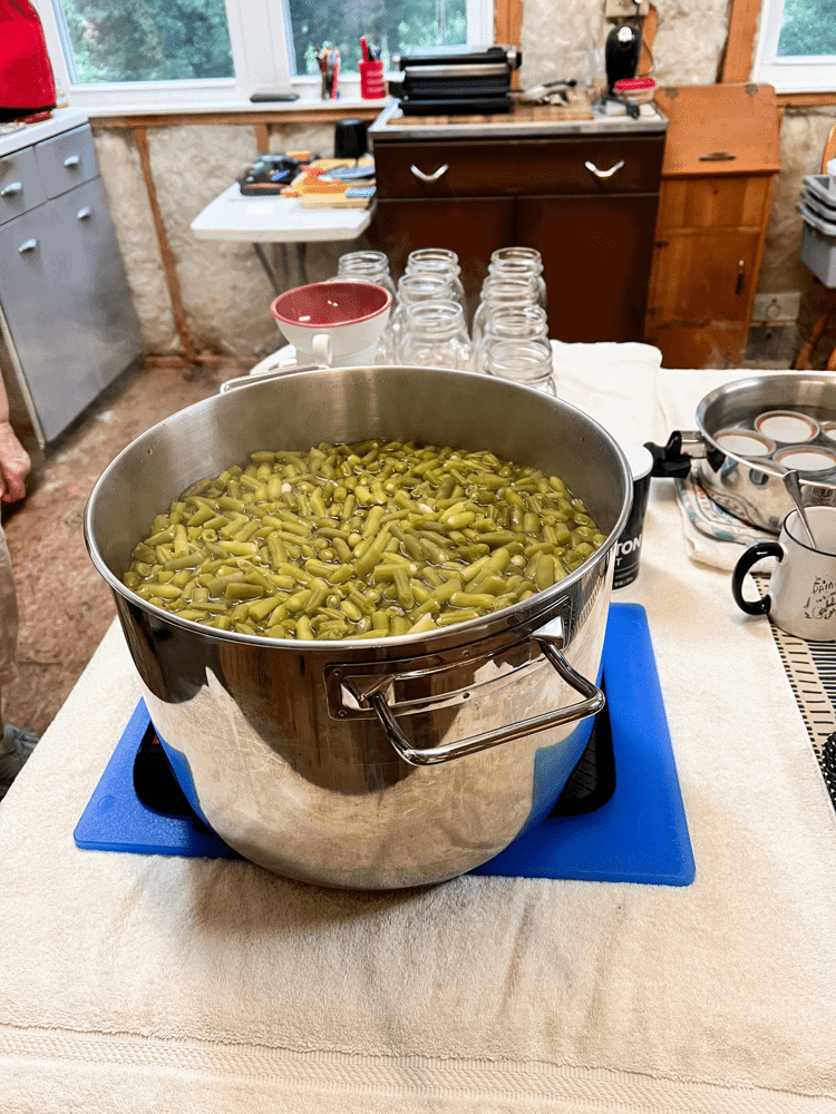 Cooked Green Beans