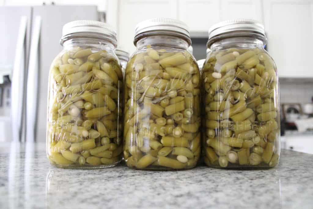 Finished Canned Green Beans