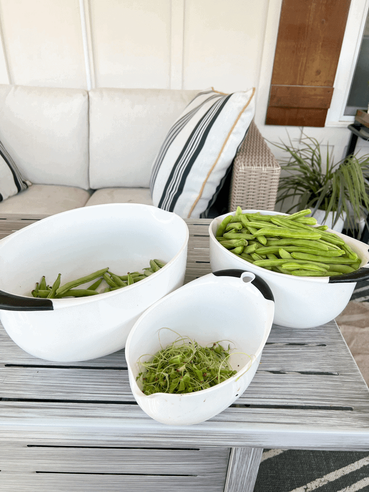 Stringing and Breaking Green Beans