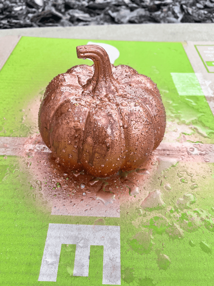 Copper Spray Painted Pumpkin