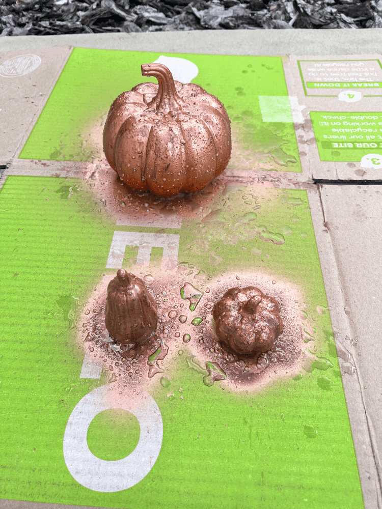 Copper Spray Painted Pumpkins