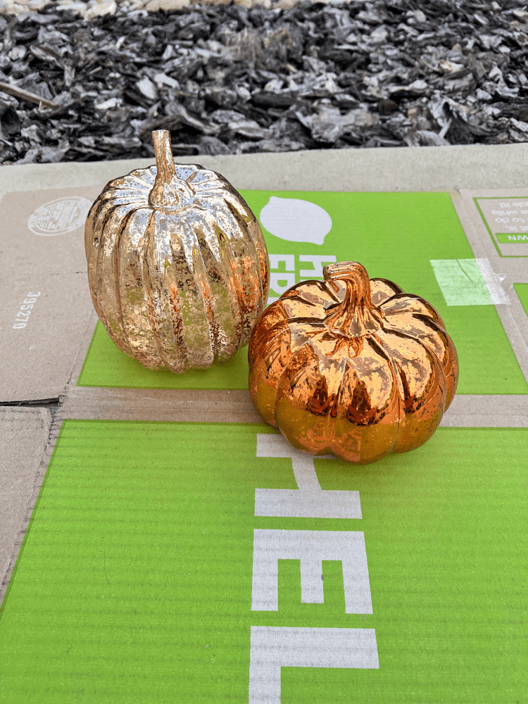 Dollar Tree Pumpkins