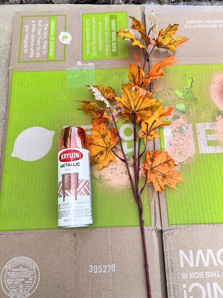 Materials Needed for Spray Painted Fall Florals