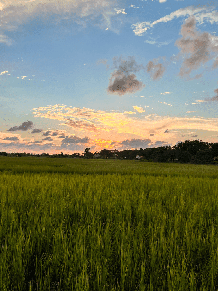 Mount Pleasant Sunset