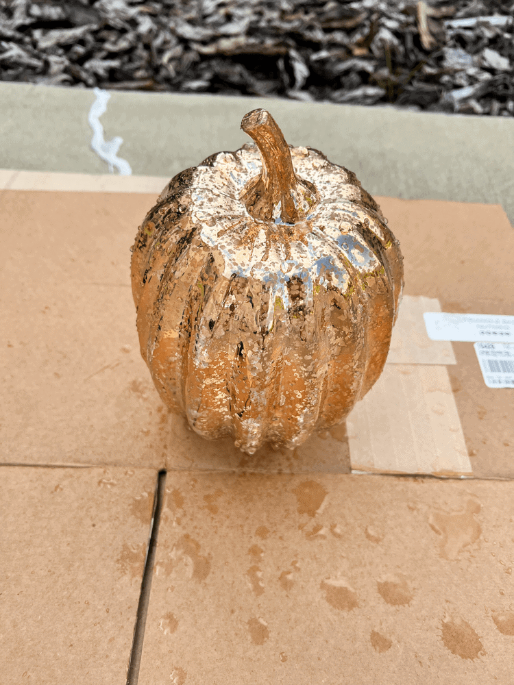 Pumpkin Sprayed With Vinegar