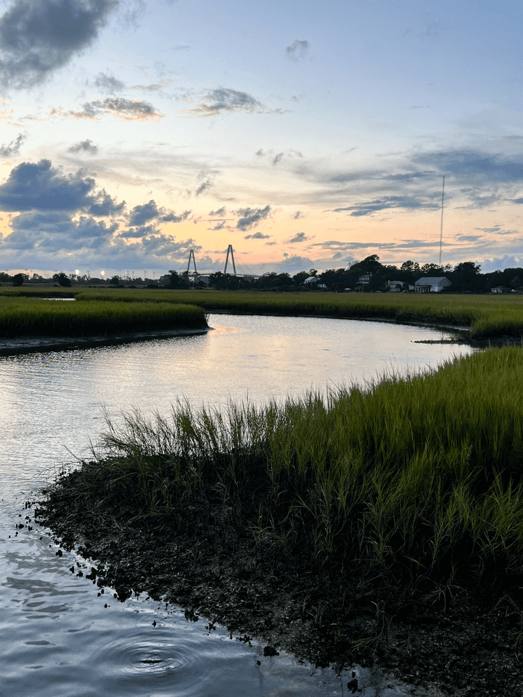 Shem Creek Sunset