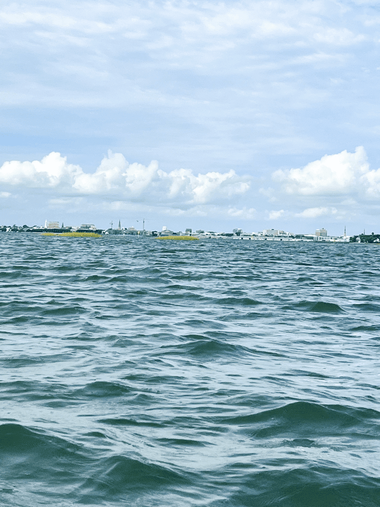 View of Charleston from Kayaking