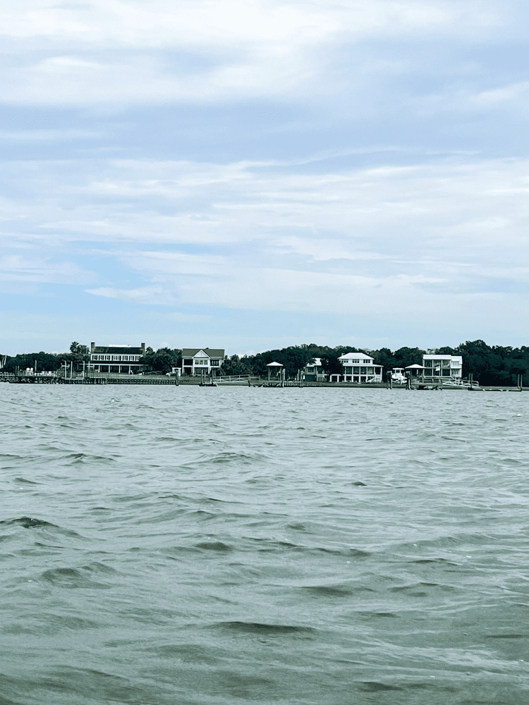 View of Houses on Shem's Creek