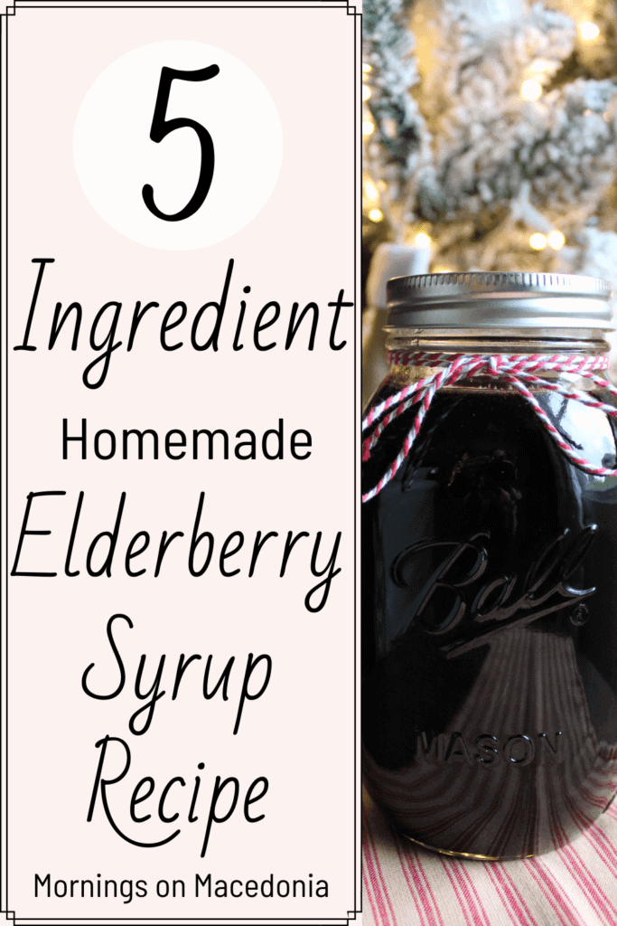 5 Ingredient Homemade Elderberry Syrup Recipe