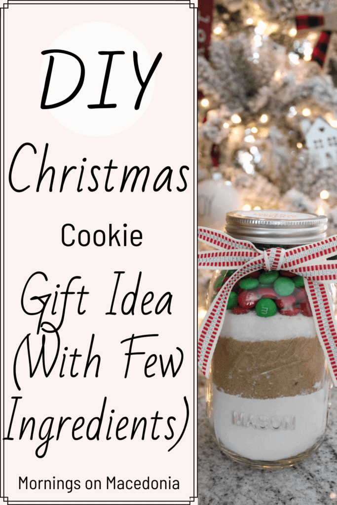 DIY Easy Christmas Cookie Gift Idea (With Few Ingredients)