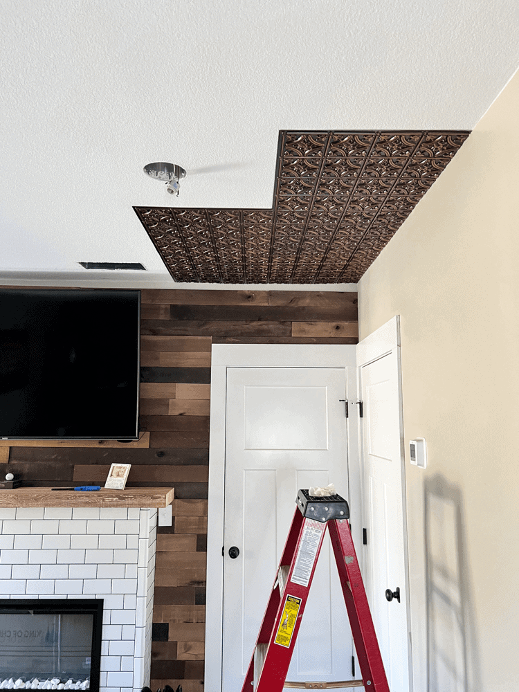 Decorative Ceiling Tile Panels