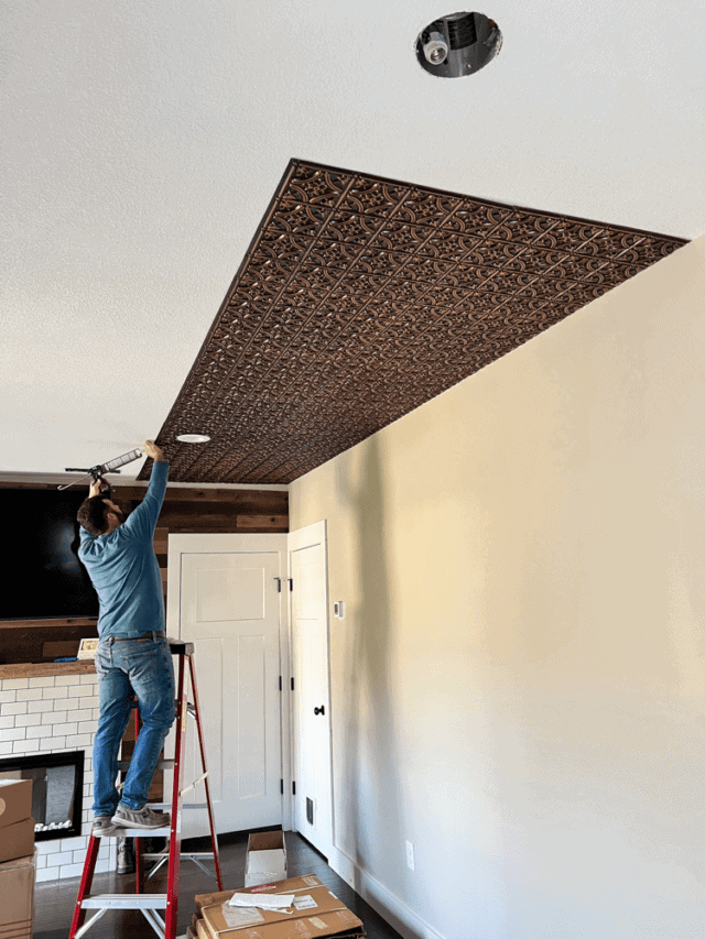 DIY: How to Install Ceiling Tiles - Mornings on Macedonia