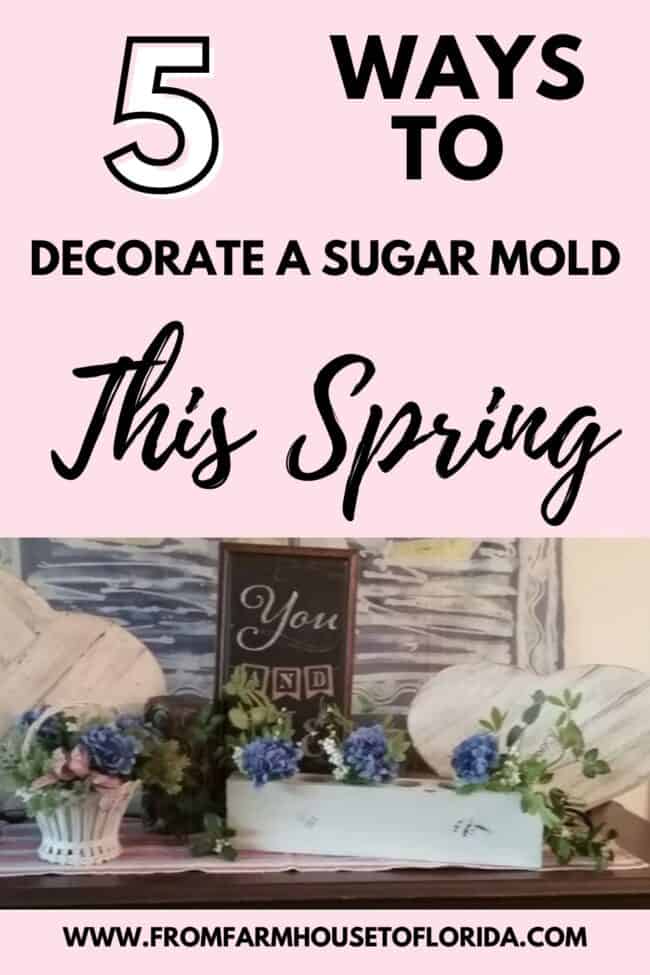 cover-page-5-ways-to-decorate-sugar-mold-spring-e1675613226725