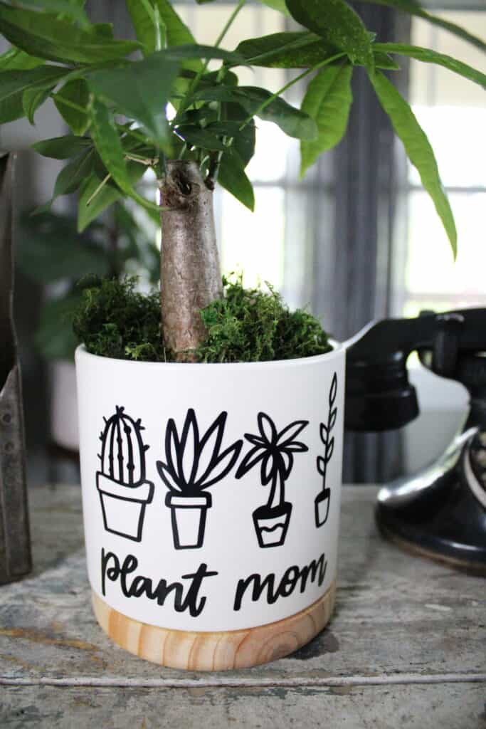 Close up of DIY Mother's Day Flower Pot