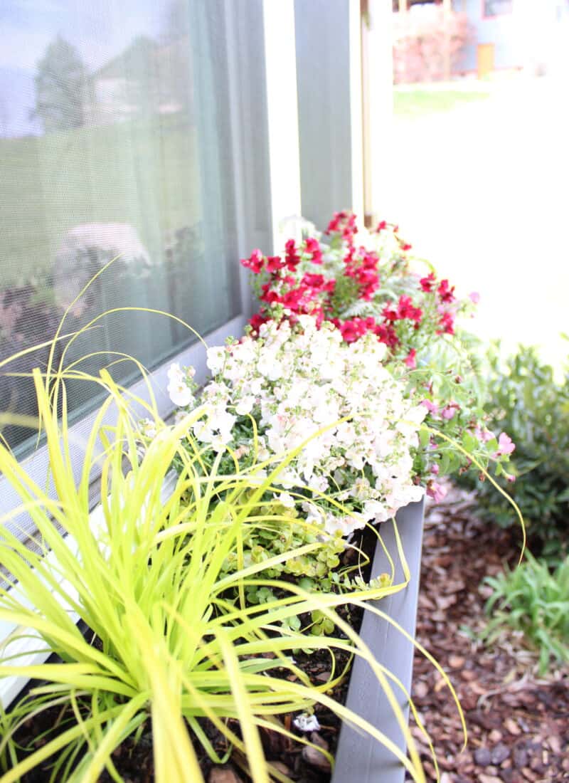 How To Add Instant Curb Appeal To Your House By Adding A Window Box